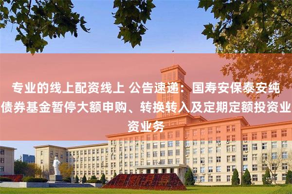 专业的线上配资线上 公告速递：国寿安保泰安纯债债券基金暂停大额申购、转换转入及定期定额投资业务