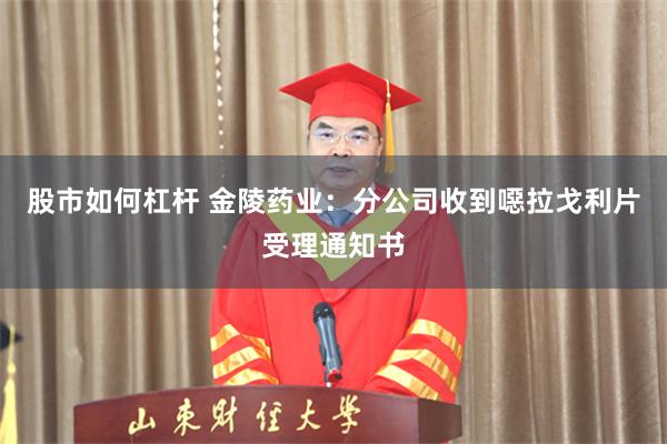 股市如何杠杆 金陵药业：分公司收到噁拉戈利片受理通知书