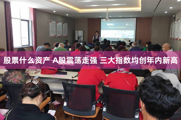 股票什么资产 A股震荡走强 三大指数均创年内新高