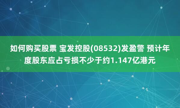 如何购买股票 宝发控股(08532)发盈警 预计年度股东应占亏损不少于约1.147亿港元