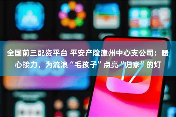 全国前三配资平台 平安产险漳州中心支公司：暖心接力，为流浪“毛孩子”点亮“归家”的灯