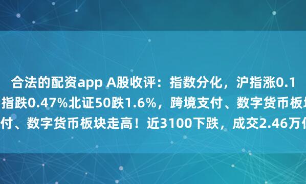 合法的配资app A股收评：指数分化，沪指涨0.13%续创10年新高，创指跌0.47%北证50跌1.6%，跨境支付、数字货币板块走高！近3100下跌，成交2.46万亿放量119亿