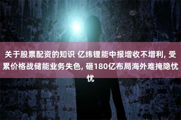 关于股票配资的知识 亿纬锂能中报增收不增利, 受累价格战储能业务失色, 砸180亿布局海外难掩隐忧