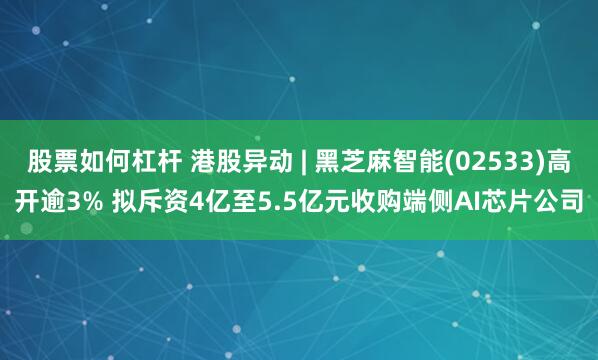 股票如何杠杆 港股异动 | 黑芝麻智能(02533)高开逾3% 拟斥资4亿至5.5亿元收购端侧AI芯片公司